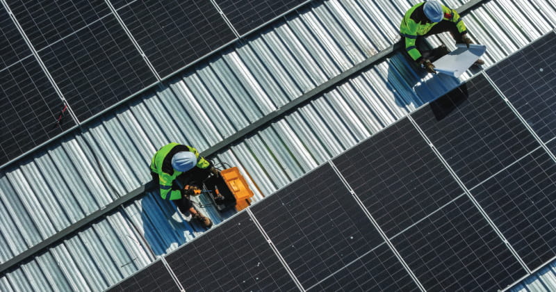 Shutterstock1 800X420px