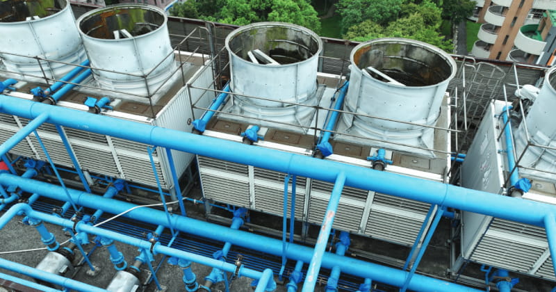 Shutterstock2 800X420px